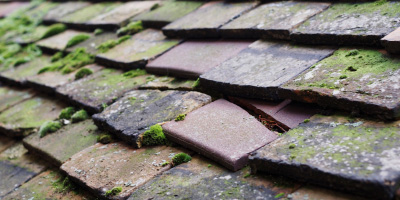 Huntley roof repair costs